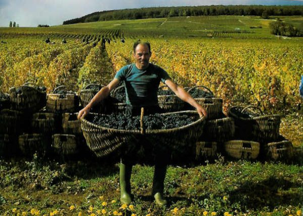 Biblical Resources for Wealth Creation